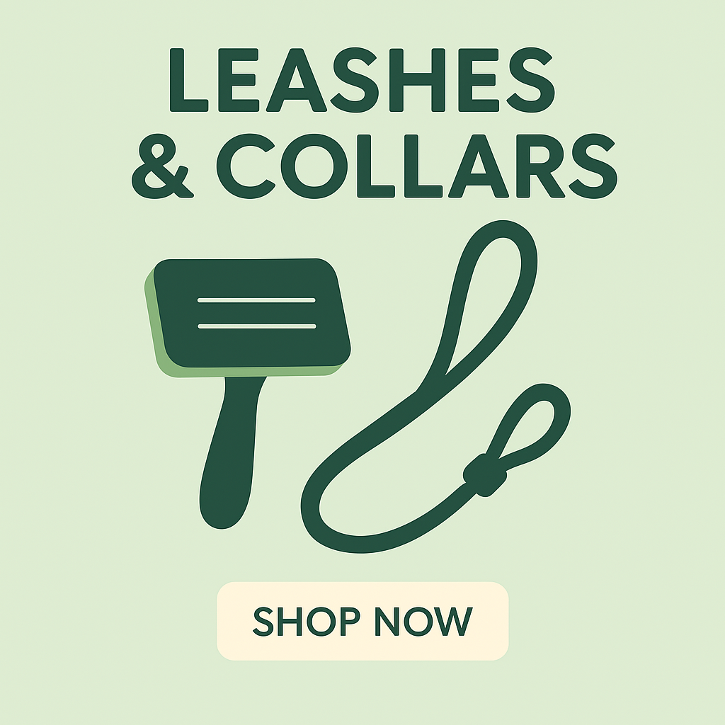 Leashes & Collars
